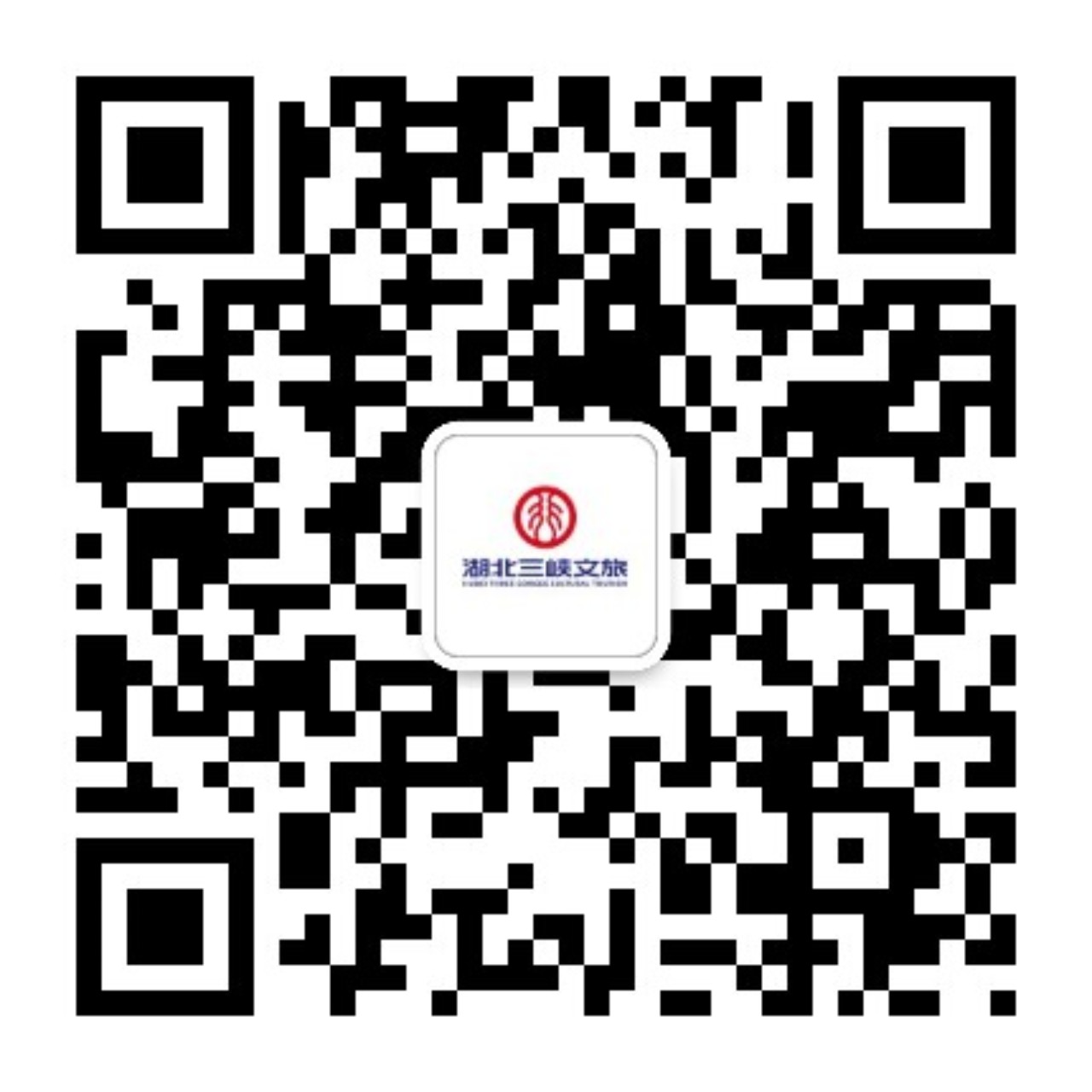 关注我们 关注我们